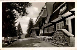 Delcampe - Feldberg Im Schwarzwald - Feldberg