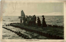 Delcampe - Borkum - Borkum