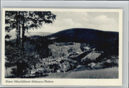 Delcampe - Wildemann Harz Goslar Niedersachsen - Wildemann