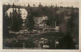 Delcampe - Feldberg- Hebelhof - Feldberg