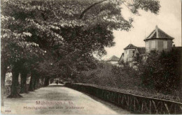 Delcampe - Mühlhausen - Hirschgraben - Mühlhausen