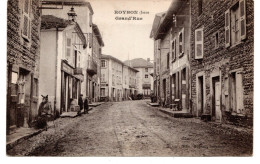 Delcampe - Roybon Grand'rue - Roybon