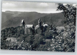 Delcampe - Altena Lenne Altena Burg - Altena