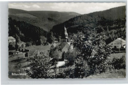 Delcampe - Brilon Hochsauerlandkreis NRW Wald - Brilon