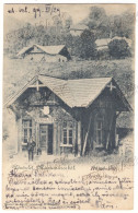Delcampe - RO 13 - 25412 COSTIUI, Rona De Sus, Maramures, SALT MINE, Litho, Romania - Old Postcard - Used - 1899 - Rumänien