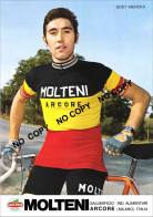 Delcampe - PHOTO REENFORCE, NO CARTE, EDDY MERCKX TEAM MOLTENI 1971 FORMAT 17 X 24 ) - Cyclisme