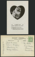 Delcampe - Cat Kitten Pet Embossed Heart 1909 Old Real Photo Postcard Bright Happy Birthday - Katten