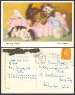 Delcampe - E.L. Beckles 1951 Old Postcard Cats Kittens, Nursery Frolics, Baby Powder, Brush - Katten