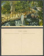Delcampe - Gibraltar Old Colour Postcard The Cascade Boy Bridge Fountain Lake Pond VB Cumbo - Gibraltar