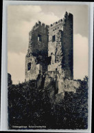 Delcampe - Koenigswinter Ruine Drachenfels - Königswinter