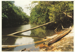 Delcampe - 1 AK Französisch-Guayana / Guyane Française / French Guiana * Der Crique Portal Ein Fluss In Französisch-Guayana * - Autres & Non Classés