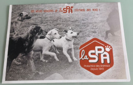 Delcampe - France  Adhésifs Autocollants  SPA 8 Timbres De  20g - Hunde