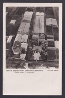 Delcampe - Vintage Postcard Netherlands Aalsmeer Gerbs Barendsen - Aalsmeer