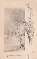 Delcampe - MUGUET      JOLI  DESSIN - Blumen