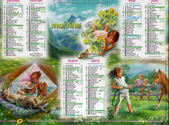 Delcampe - Calendrier Almanach La Poste PTT 2013 MARTINE - Grand Format : 2001-...