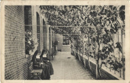 Delcampe - MOLHEM : Pensionnat Des Ursulines - Veranda Avec 2 Soeurs Sur Un Banc. Pas Cette Vue Sur Delcampe. - Asse