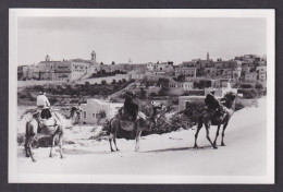 Delcampe - Vintage Postcard PALESTINE Bethlehem Travelers On Camels - Palästina