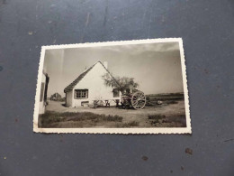 Delcampe - P-27316 , PHOTO, SNAPSHOT, LES SAINTES MARIES DE LA MER, Marquis De Baroncelli, La Ferme Camarguaise - Lieux
