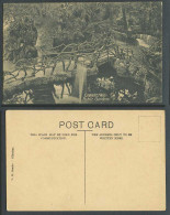 Delcampe - Gibraltar Old Postcard Public Gardens, A Boy By Bridge Fountain Lake Pond Garden - Gibraltar