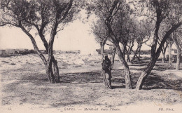 Delcampe - GAFSA - Marabout Dans L'Oasis - Tunisie