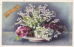 Delcampe - MUGUET     JOLIE  COUPE - Blumen