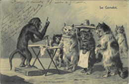 Delcampe - Chats Et Singe. Le Camelot - Katten