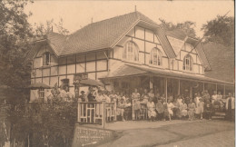 Delcampe - FLOBECQ BOIS       CHALET DES OMBRES - Flobecq - Vlösberg