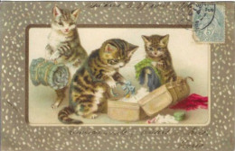 Delcampe - Chats Déballant Une Valise - Katten