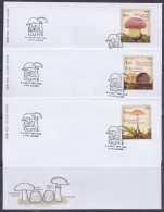 Delcampe - -+Croatia, 2013-09-03, Mushrooms; Macrolepiota Procera, Boletus Regius, Truffles - Croatia