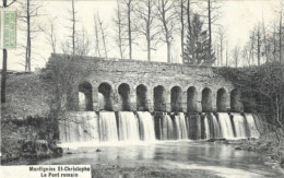 Delcampe - MONTIGNIES St-CHRISTOPHE :  Le Pont Romain. Pas Cette Vue Sur Delcampe. - Erquelinnes