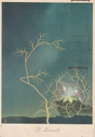 Delcampe - CARTOLINA ILLUSTRATORI "IL MIRACOLO" ANNO 1948 VIAGGIATA - 1900-1949