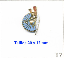 Delcampe - Pin's Institution - Armée De Terre / 4e Escadron - 13e Rgt Dragons Parachutistes (13e RDP). Est. Segalen. EGF. T1100Q-17 - Militaria