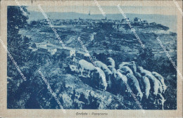 Delcampe - Be470 Cartolina Orvieto Panorama Provincia Di Terni - Terni