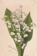 Delcampe - MUGUET - Blumen