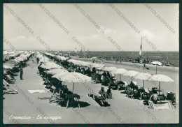 Delcampe - Forlì Cesenatico Foto FG Cartolina KB1026 - Forlì