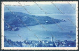Delcampe - Varese Laveno Cartolina LQ8223 - Varese