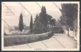 Delcampe - Messina Taormina Cartolina ZB9918 - Messina