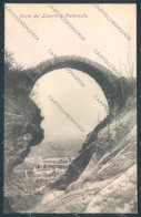 Delcampe - Verbania Premosello Chiovenda Cartolina ZQ7975 - Verbania