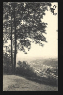 Delcampe - Houyet Panorama - Houyet