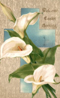 Delcampe - M1708 - Lot De 2 Cartes Gaufrées - FLEURS - Blumen