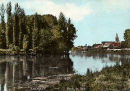 Delcampe - 4568   Cpm  ANDRESY : Bords De Seine ! Superbe Carte Photo Couleur , écrite En 1971 !! - Andresy
