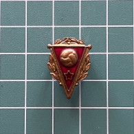 Delcampe - ZN013712 - Badge Pin Football Soccer Soviet Union USSR CCCP SSSR Federation Association Union - Calcio