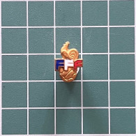 Delcampe - ZN013713 - Badge Pin Football Soccer France Federation Association Union - Calcio