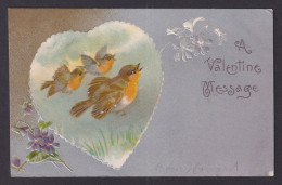 Delcampe - UNITED STATES, Postcard, A Valentine Message Birds - Valentine's Day