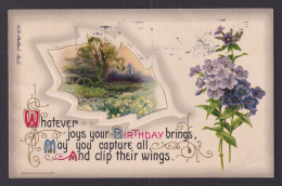 Delcampe - UNITED STATES, Postcard, Birthday Greetings, Rural Landscape - Birthday