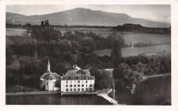 Delcampe - 74-DOUVAINE-N°T2217-D/0105 - Douvaine