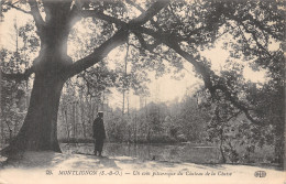 Delcampe - 95-MONTLIGNON-N°T2217-H/0255 - Montlignon