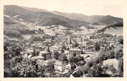 Delcampe - 68-SAINTE MARIE AUX MINES-N°645-H/0225 - Sainte-Marie-aux-Mines