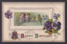 Delcampe - UNITED STATES, Postcard, Birthday Greetings, Birds - Birthday