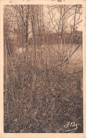 Delcampe - 80-PERONNE-N°T2219-C/0093 - Peronne